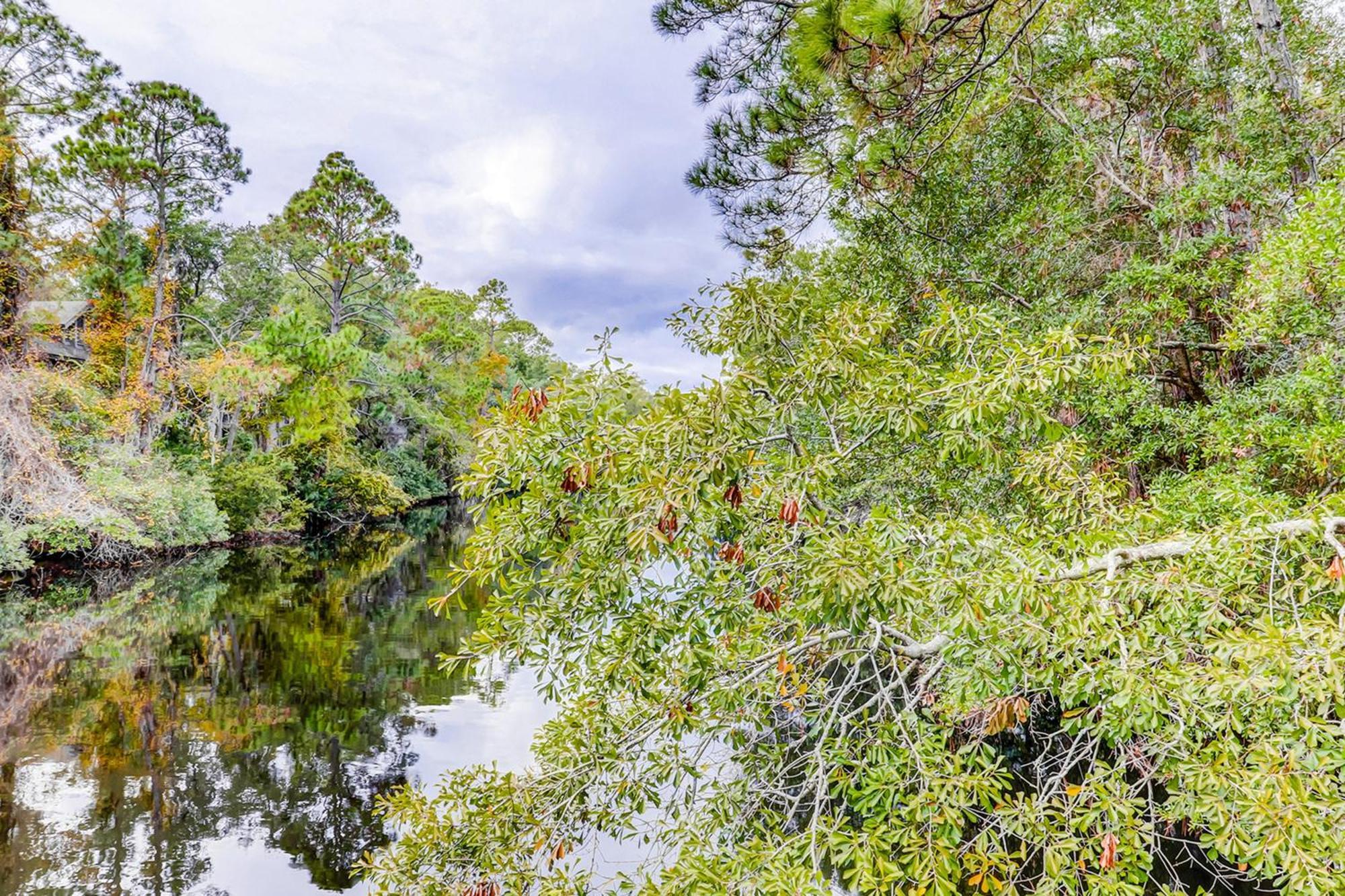 Hickory Cove 39 Lejlighed Hilton Head Island Eksteriør billede